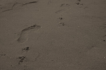 An image of a footprint of a person.