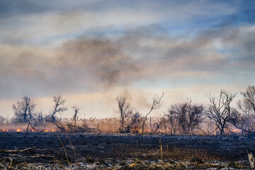 Wildfires. Burning estuary. Fire in the steppe.