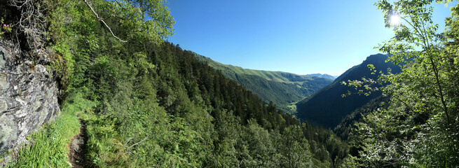 Fototapete bei efototapeten.de bestellen   