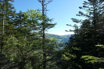 Obraz premium Vallée du Lys