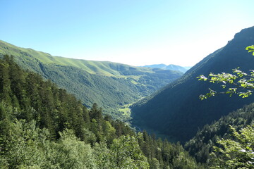 Vallée du Lys