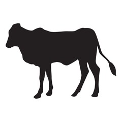 silhouette of cow
