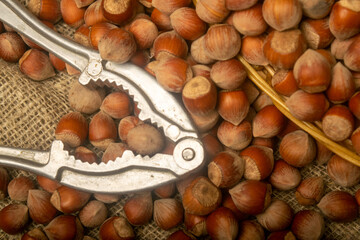 Hazelnuts in a wicker basket, a scattering of hazelnuts and a Nutcracker on the background of burlap with a rough texture. Close up.