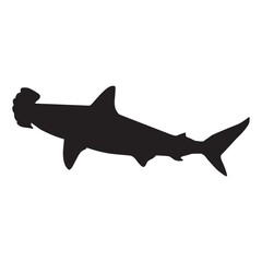 silhouette of hammerhead shark