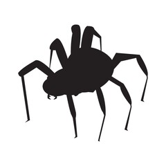 silhouette of spider