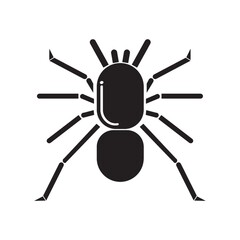 silhouette of spider
