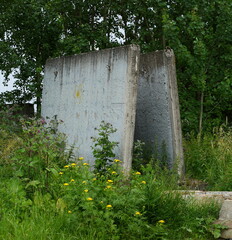 A broken gray concrete fence in a green thicket