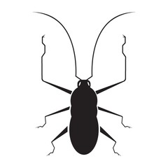 silhouette of bug