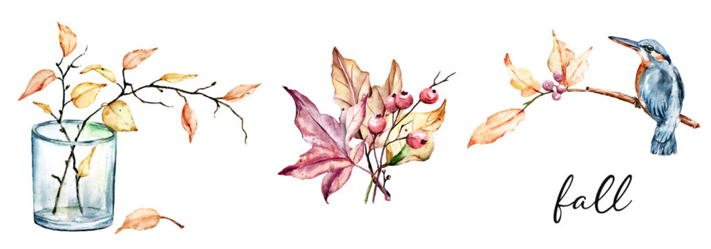 Autumn set, fall leaves watercolor drawing, sketches leaf, illustrations isolated on white background.