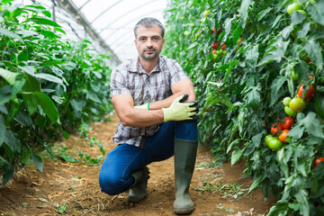 Portrait of confident man owner of greenhouse on plantation with ripening organic tomatoes. Concept of successful agribusiness
