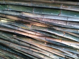 stack of green bamboo