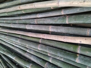 stack of green bamboo