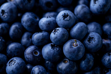 Fresh ripe blueberries background.Close up view.

