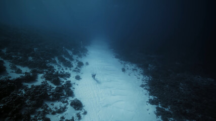 underwater view of the sea