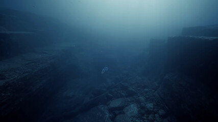Fototapeta na wymiar underwater view of the underwater world