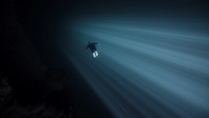 silhouette of a man in the night