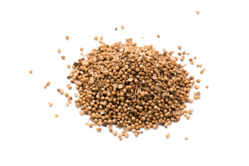 Coriander seeds isolated on white background