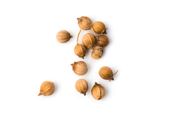 Coriander seeds isolated on white background