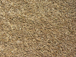 Brown color dry Cumin seeds