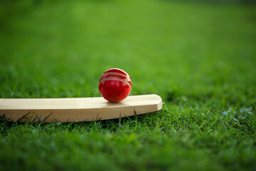 leather Cricket ball resting on a cricket bat placed on green grass cricket ground pitch