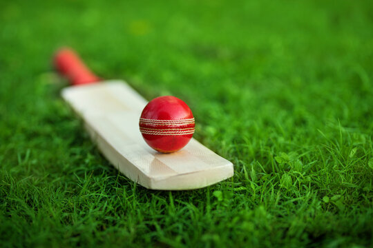 चमड़े की क्रिकेट गेंद हरी घास क्रिकेट मैदान की पिच पर रखे क्रिकेट के बल्ले पर टिकी हुई है स्टॉक फोटो |  एडोब स्टॉक
