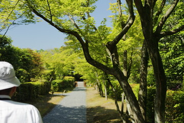 京都　桂　20150511