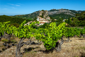 Fototapeta na wymiar Le village de La Roque Alric dans le département du vaucluse en Provence, en France
