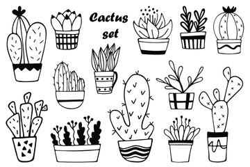 Cactus set in pots. vector images.