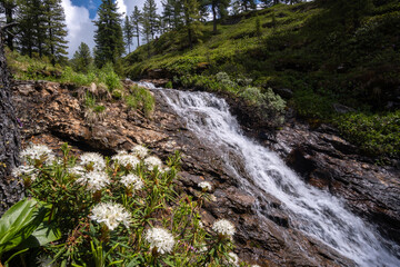 Waterfall on a mountain stream in the Siberian taiga