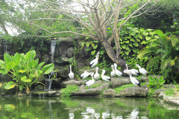 waterfall in the park