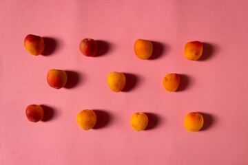 Apricot isolated on soft pastel background. Still life photography. Fruit pattern. Pink background.