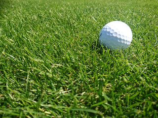 golf ball on a grassy golf course on a beautiful summer day - obrazy, fototapety, plakaty