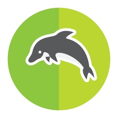 dolphin