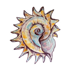 watercolor sea big underwater shell hand drawn yellow