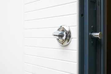 details entrance door finished with wood veneer white color