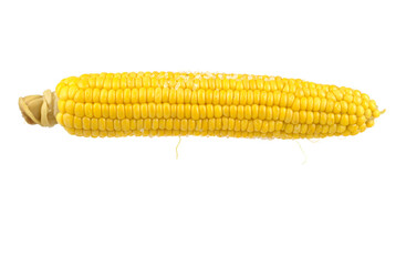 cob of boiled sweet corn sprinkled with salt, close-up, white isolated background, horizontal view, text space