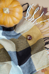 Pumpkin, plaid, dry autumn leaves, cones and tea on a pastel beige background. Autumn minimalism...