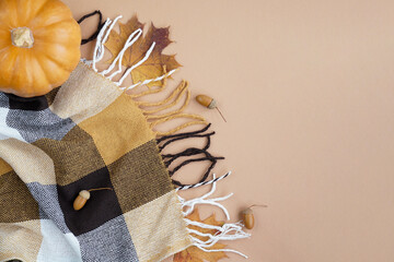 Autumn composition Flatlay. Orange pumpkin, plaid, dry autumn leaves, cones on a pastel beige...