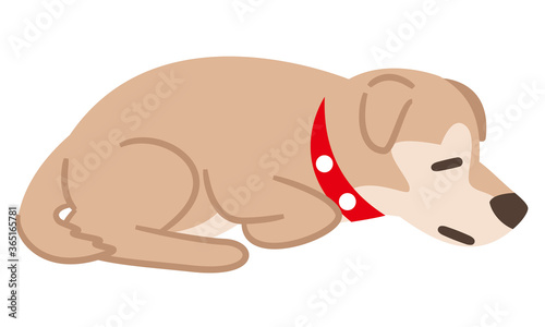 体調不良でうずくまる犬 Wall Mural Wallpaper Murals あんころもち Ankomando 体調不良でうずくまる犬 Wall Mural Wallpaper Murals あんころもち Ankomando