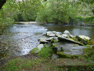 Wild river with green trees in background and a rocky stony outcrop into the water on the near side