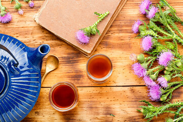 Thistle in herbal medicine.