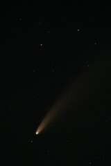 Astrophotography Comet NEOWISE on night sky