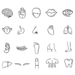 collection of human body parts