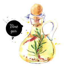 Watercolor hand drawn vinegar bottle illustration. Vector painted sketch isolated on white background. Superfoods poster