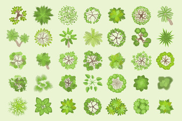 Trees top view. Different plants and trees vector set for architectural or landscape design. (View from above) Nature green spaces.