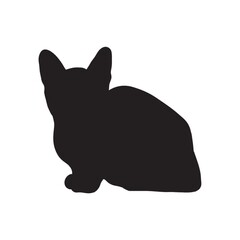 silhouette of a cat