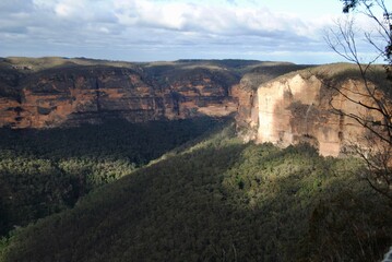 Fototapeta na wymiar The cliffs and trees in the national park of the Blue Mountains, Australia