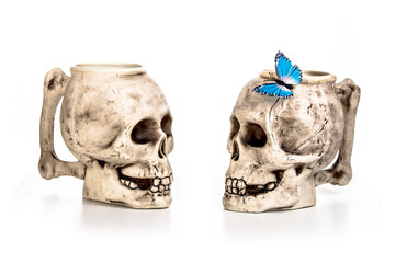 two skulls on a white background with a butterfly