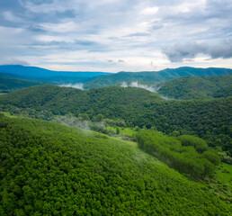 Aerial drone view with green forests and hills overgrown with lush vegetation in the spring time, Strandzha Mountain, Bulgaria