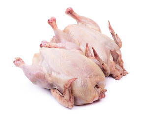 Two raw chicken carcass